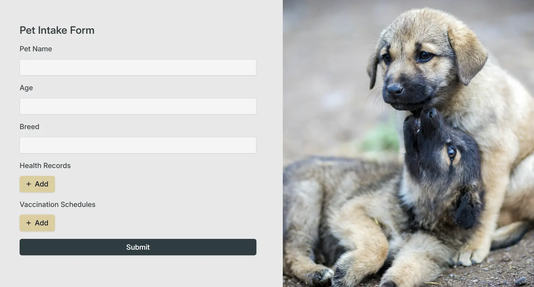 Example of a form built in Fillout
